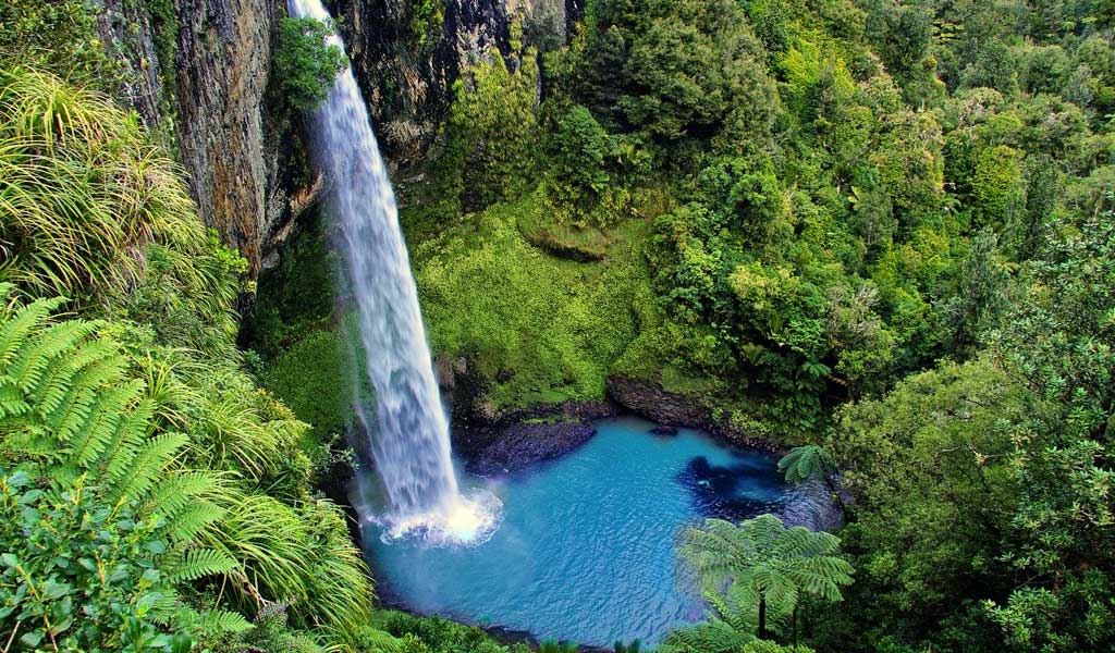 Die 8 besten Neuseeland Kleingruppenreisen | 2024 Rundreisen